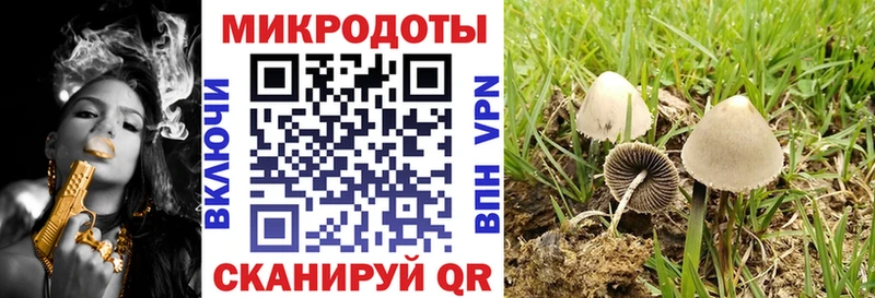 Купить закладки  Новомичуринск  Галлюциногенные грибы прущие грибы 